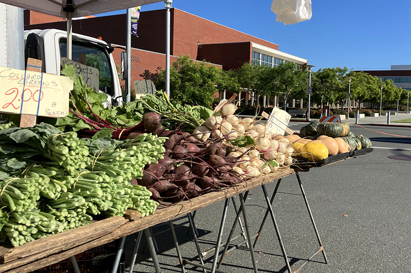 Civic Center Farmers Market returns to original Richmond Public Library location