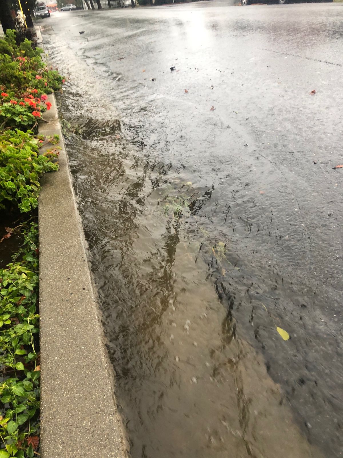 Storm dumps over an inch of rain in Richmond