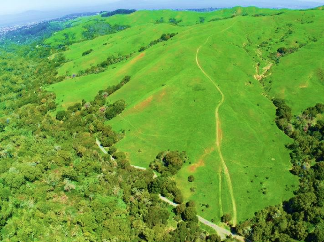 Park district considers mountain bike flow trail at Wildcat Canyon Park