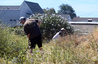 Dirt World Bike Park gets a facelift