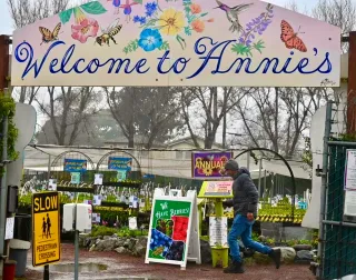  Annie’s Annuals and Perennials