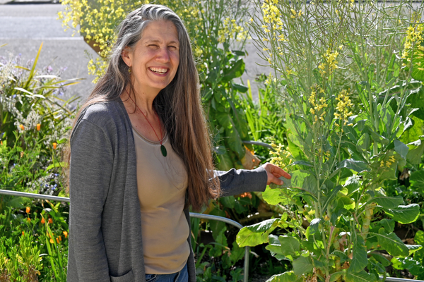 Richmond seed lending library celebrates 14 years of seed-sharing