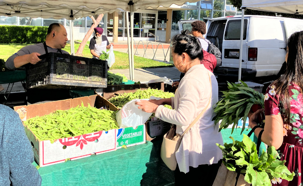 Civic Center Farmers Market returns to original Richmond Public Library location